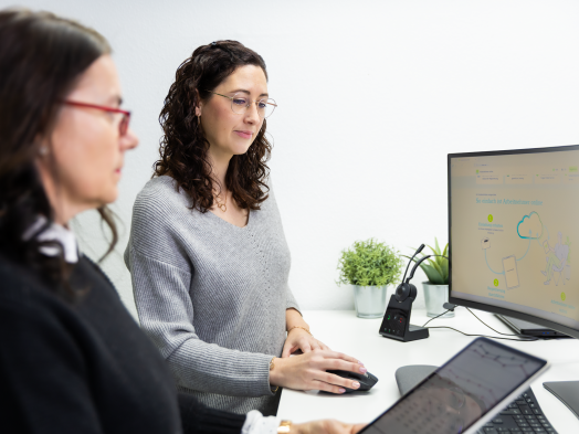 Steuergestaltung & Steuerstrategien